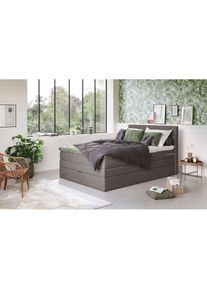COTTA, Boxspringbett &raquo;Shark inkl. Bettkasten und Topper&laquo; erh&auml;ltlich in den Breiten 140x200cm, 160x200cm und 180x200cm, mud, 100% POLYESTER (PES), 