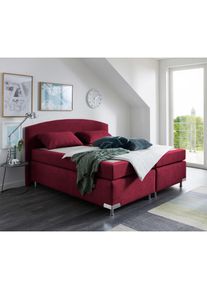 Westfalia Schlafkomfort , Boxspringbett »Amsterdam«, (Optional mit Topper) , Bordeaux-Rot