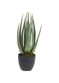 ProGarden, Kunstpflanzen, Mckenzie (45 cm)