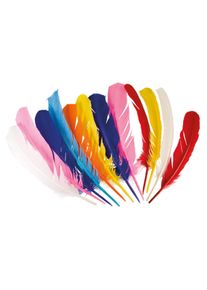 Boland 12 piume indiane colorate (3er Multipack)