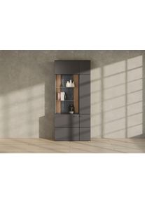 Set One By Musterring Stauraumvitrine »TACOMA« Typ 05/06 in grau, Größe B/H/T: 90 cm x 207,4 cm x 37,2 cm