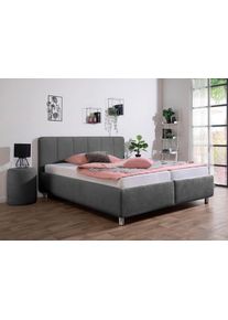 Maintal Polsterbett »Wiesenblick in grau, Größe Liegefläche B/L: 200 cm x 200 cm