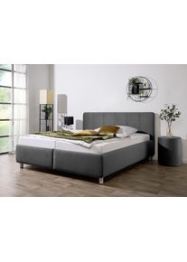 Maintal Polsterbett »Wiesenblick in grau, Größe Liegefläche B/L: 160 cm x 200 cm