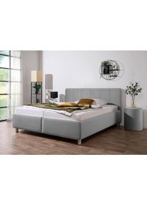 Maintal Polsterbett »Wiesenblick in silberfarben, Größe Liegefläche B/L: 200 cm x 200 cm