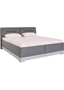 Maintal Polsterbett mit verstellbaren Kopfteil-Elementen in grau, Größe Liegefläche B/L: 160 cm x 200 cm