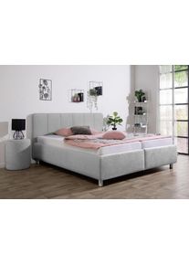 Maintal Polsterbett »Wiesenblick in grau, Größe Liegefläche B/L: 160 cm x 200 cm