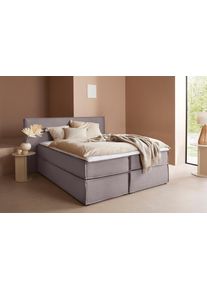 LeGer Home by Lena Gercke Boxspringbett »Yuma« incl. Topper in grau, Größe Liegefläche B/L: 160 cm x 200 cm