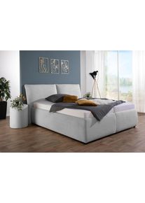 Maintal Polsterbett »Wiesenbach in grau, Größe Liegefläche B/L: 180 cm x 200 cm