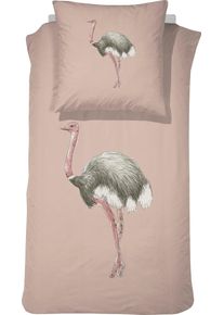 Damai Kinderbettwäsche »Sloane« mit Vogel Strauß in pink, Größe B/L: 80 cm x 80 cm