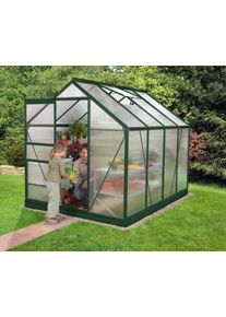 Vitavia Gewächshaus »Venus 5000« in grün, Größe B/H/T: 192 cm x 254 cm