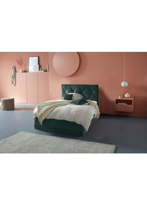 Westfalia Schlafkomfort Polsterbett »Adamas« auch mit Bettkasten in grün, Größe Liegefläche B/L/H: 160 cm x 200 cm x 59