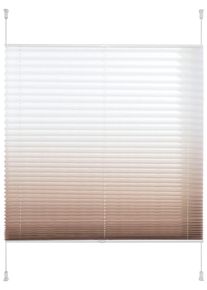 Liedeco Plissee »Farbverlauf« Lichtschutz ohne Bohren verspannt in braun