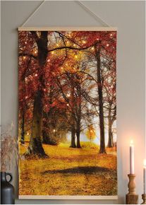 LED canvas schilderij - oranje - maat 92x53 cm - bonprix