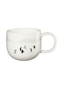 Asa henkelbecher, south pole