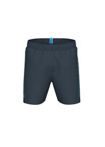 arena Pantaloni scurți apă 'FUNDAMENTALS LOGO BOXER' Bărbaţi gri, Mărimea 3XL