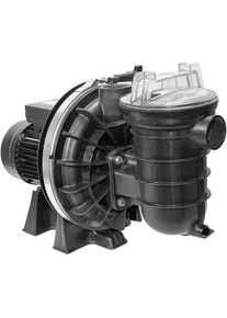 Pentair 5P2RD-1 La Sta-Rite Filterpumpe Poolpumpe selbstansaugend 12m³/h bei 8m 0,55kW 230V schwarz
