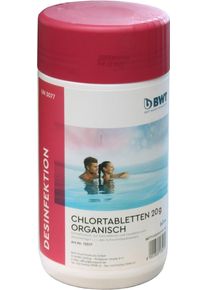 BWT Multi Tab 20g Chlortabletten zur Wasseraufbereitung, organisch, 1kg