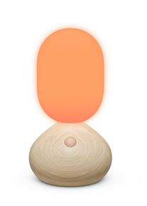 Grau Sun Home Sculpture lumineuse / Lampe de table grise