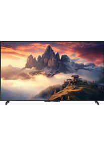 Panasonic TV-55Z80BEZ (55", Z80B, OLED, 4K, 2025), TV, Schwarz