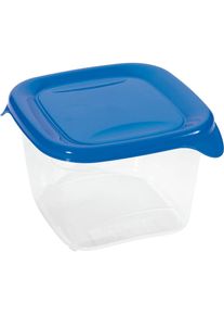 curver D&oacute;za na potraviny FRESH & GO 1,2L | transparentn&aacute; / modr&aacute;