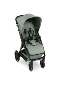 Abc Design Buggy , Pastellgrün , Textil , 54x111x80 cm , EN 1888 , Feststellbremse, Fußstütze abklappbar, Federung, kugelgelagerte Räder,