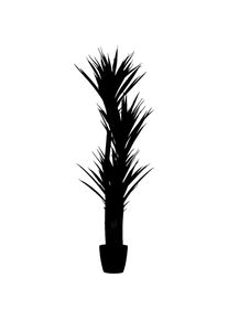 Yucca, bak-Ø 180 mm, hoogte 1500 mm