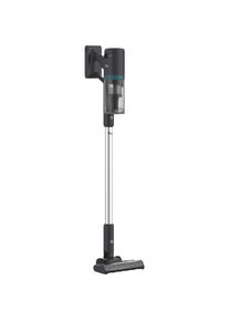 Hoover HFG10P 011 - HF1 GO Pet, Staubsauger, Silber, Schwarz