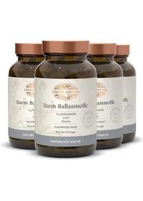 Bärbel Drexel Darm Ballaststoffe mit Inulin Kaupresslinge Kirsch-Orange