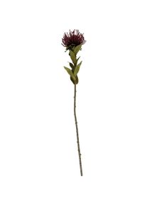 Present Time, Kunstpflanzen, Protea Flower Small (59.70 cm)