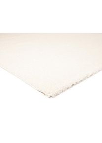 OCI Die Teppichmarke , Hochflor-Teppich »Soft Dream«, rund, 30 mm Höhe, besonders weich durch Microfaser, Wohnzimmer , creme , Ø 200 cm 1 St.