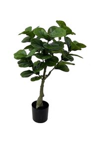 Present Time, Kunstpflanzen, Ficus (72 cm)