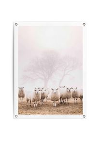 Reinders! Poster Schapen in de mist Outdoor voor tuin of balkon deurposters beige