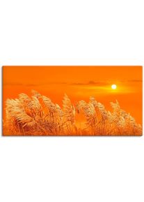 Artland Artprint In de wind als artprint op linnen in verschillende maten foto schilderijen oranje
