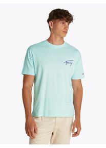 Tommy Jeans T-shirt TJM RLX FADED GRAPHIC TEE EXT heren t-shirts maat M groen