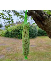 Jordnötsstång 0.18kg för fåglar - 2-pack vildfågelfrö