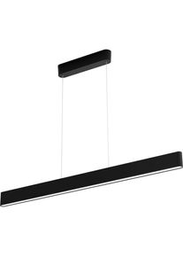 Philips Lighting Hue 871951434336800 LED-Pendelleuchte Deckenlampe 79 Watt Bluetooth Bridge schwarz