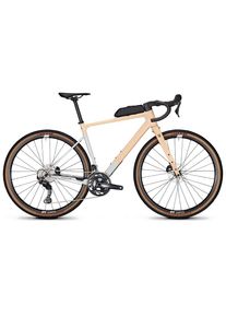 Focus Atlas 8.7 melon / lightgrey 2024 - RH 54 cm