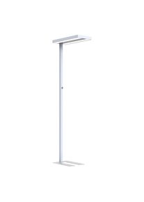 LED-VLOERLAMP Lara Up & Down, dimbaar / bewegingssensor, H 1950 mm, zilver