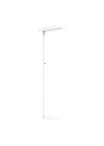 Piantana LED Lara Up & Down - kaiserkraft