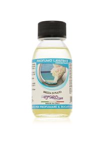 THD Profumo Lavatrice Brezza Di Pulito concentrated fragrance for washing machines 100 ml