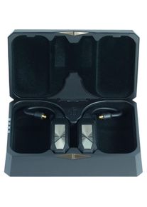 iFi Audio GO pod (Klangregelung, Bluetooth), Kopfhörerverstärker, Schwarz