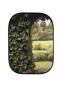 Lastolite Perspective Collapsible (150 cm), Hintergrundsystem