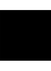 BRESSER BR-9 Achtergronddoek 3x6m Zwart (300 cm, 600 cm), Hintergrundsystem, Schwarz