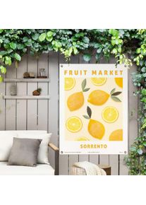 Reinders! Poster Citroenen Outdoor voor tuin of balkon deurposters geel