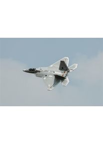 Freewing F-22 Raptor EPO 816mm High Performance PNP