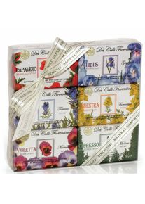 NESTI DANTE Sapone artigianale, Cofanetto Saponi, Sapone Naturale, SET 6 x 150 g