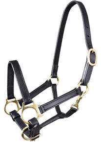 Star Leder Fohlenhalfter, schwarz