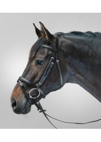 Star Lifestyle Trensenzaum, schwarz, Shetty