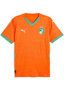 Puma, Herren, Fussballtrikot, FIF Home Jersey Replica (L), Orange, L