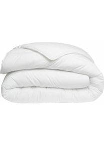 Dodo, Duvet, Bettdecke Nice Night 350 g/m² 240 x 260 cm (240 x 260 cm)